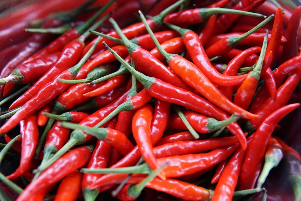 Sriracha selber machen mit roten thai chilis